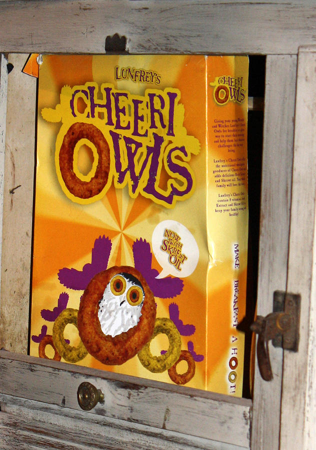 Harry Potter Photograph - Cheeri Owls by David Nicholls