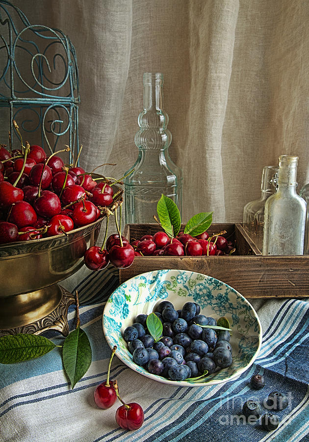 Blueberry Photograph - Cherries And Blueberries by Elena Nosyreva