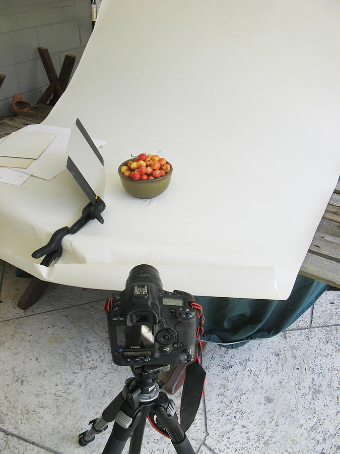 Cherries and reflector Photograph by Rich Franco