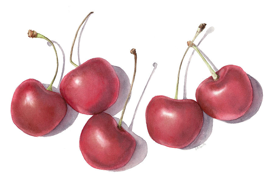 Fruit Painting - Cherries by Elizabeth Smith