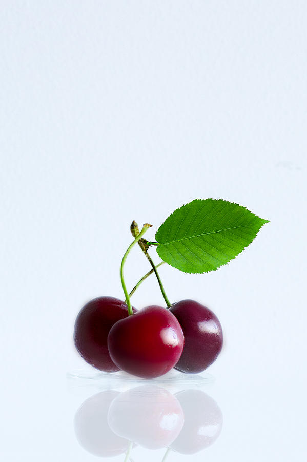 Cherries Photograph by Elvira Pinkhas