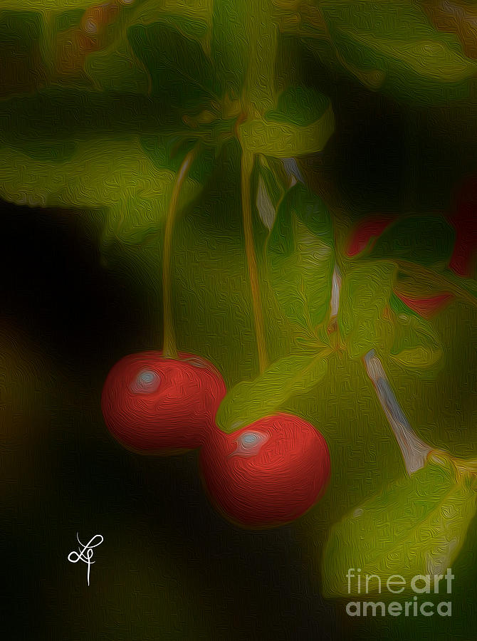 Cherries Photograph by Leo Symon