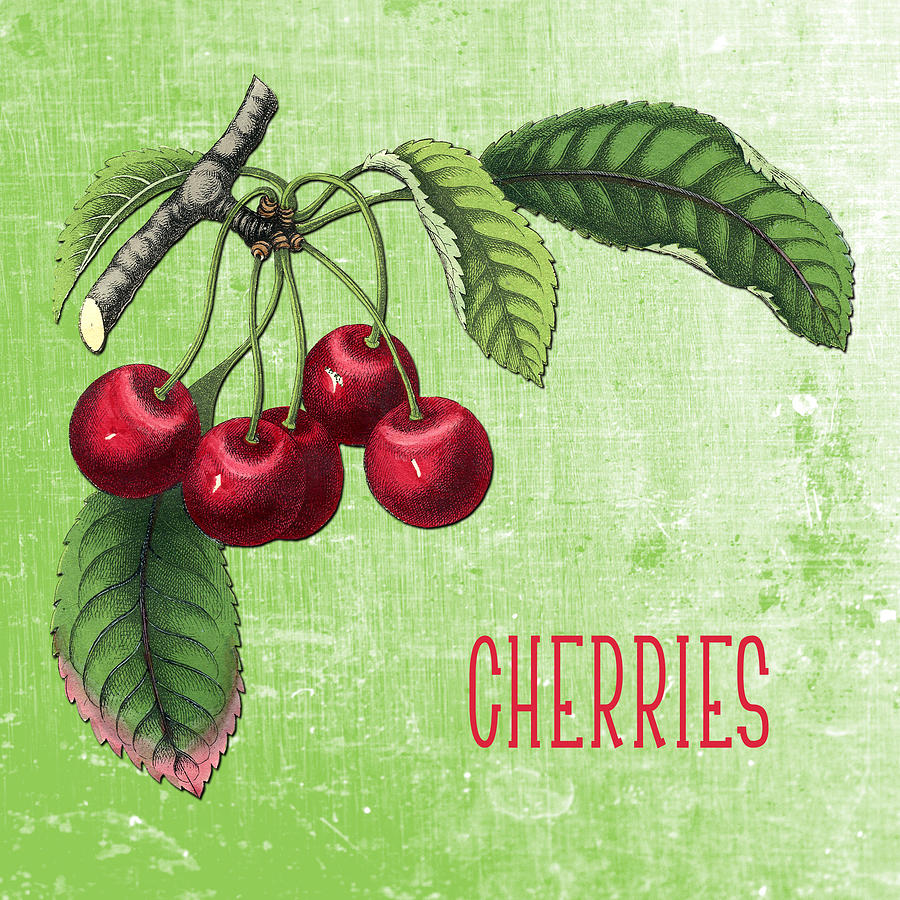 Vintage Digital Art - Cherries by Scarebaby Design