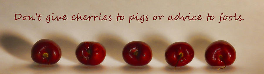 Cherries To Pigs Photograph