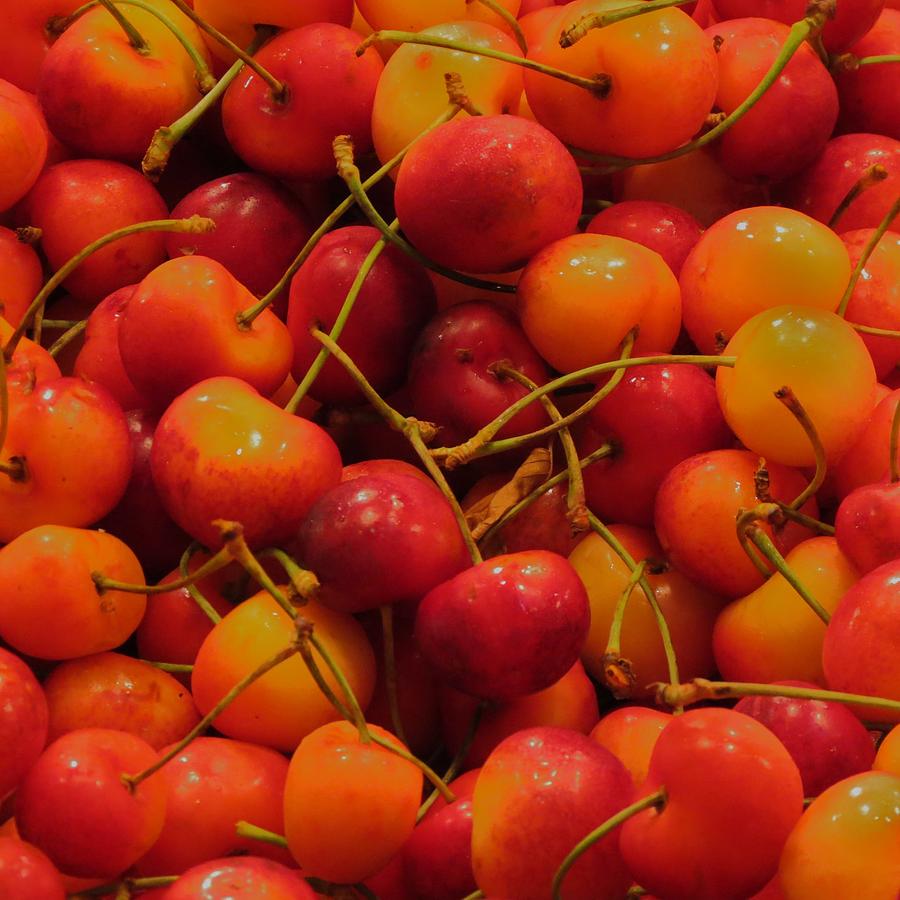 Cherries Photograph by Vijay Sharon Govender