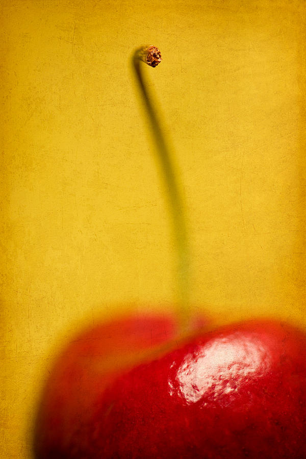 Fruit Photograph - Cherry Bliss by Amy Weiss