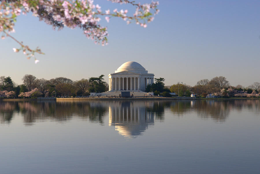 Cherry Blossom and Jefferson Memorial Photograph by Willie Harper