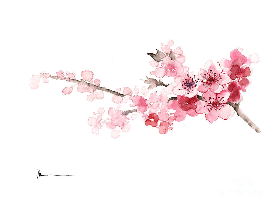 Cherry Blossom Art Print Watercolor Painting Painting By Joanna Szmerdt