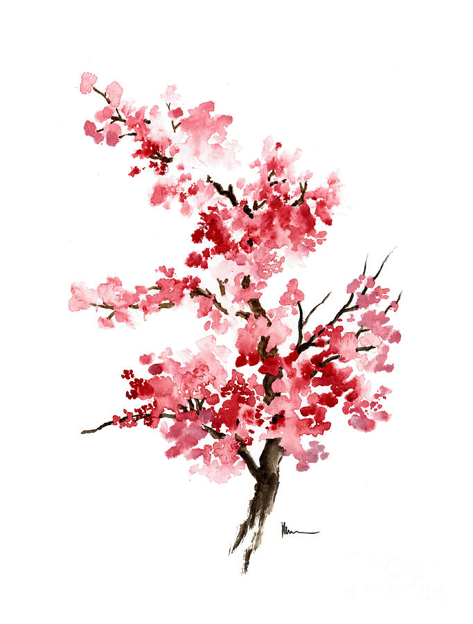 Tree Painting - Cherry blossom branch watercolor art print by Joanna Szmerdt