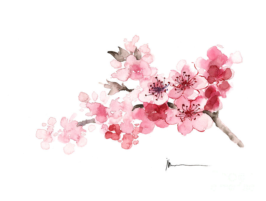 Flower Painting - Cherry blossom branch watercolor art print painting by Joanna Szmerdt
