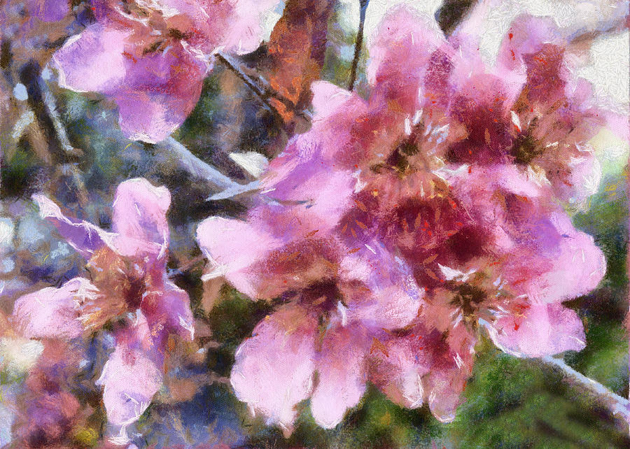 Cherry Blossom Digital Art by Charmaine Zoe
