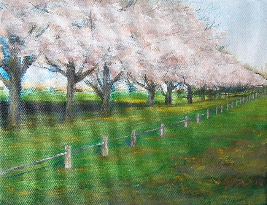 Cherry Blossom Christchurch Painting by Jane See
