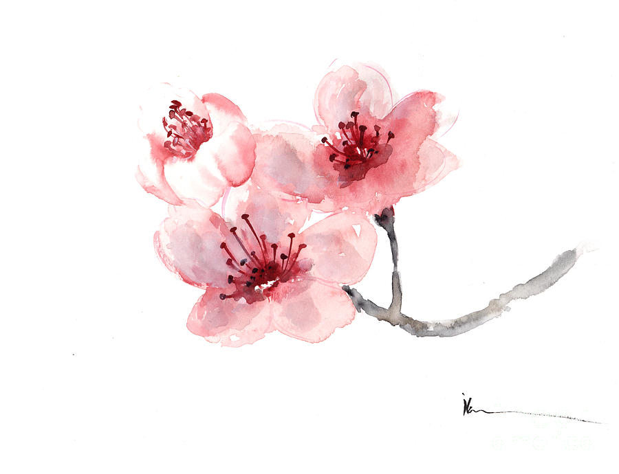 Flower Painting - Cherry blossom flower watercolor art print painting by Joanna Szmerdt