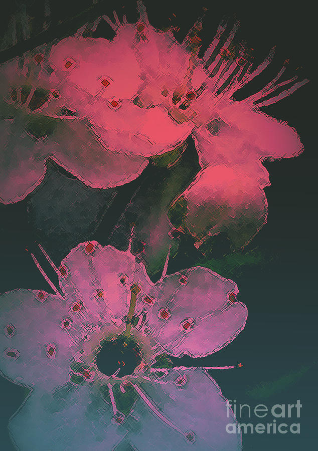 Cherry Blossom Photograph by Mim White