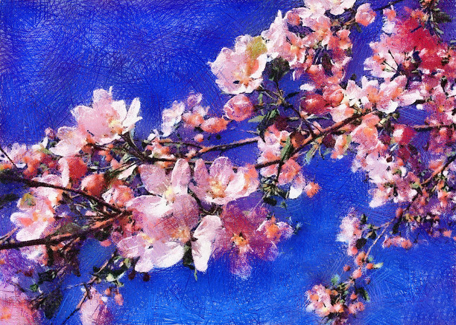 Cherry Blossom on Blue Photograph by Charmaine Zoe