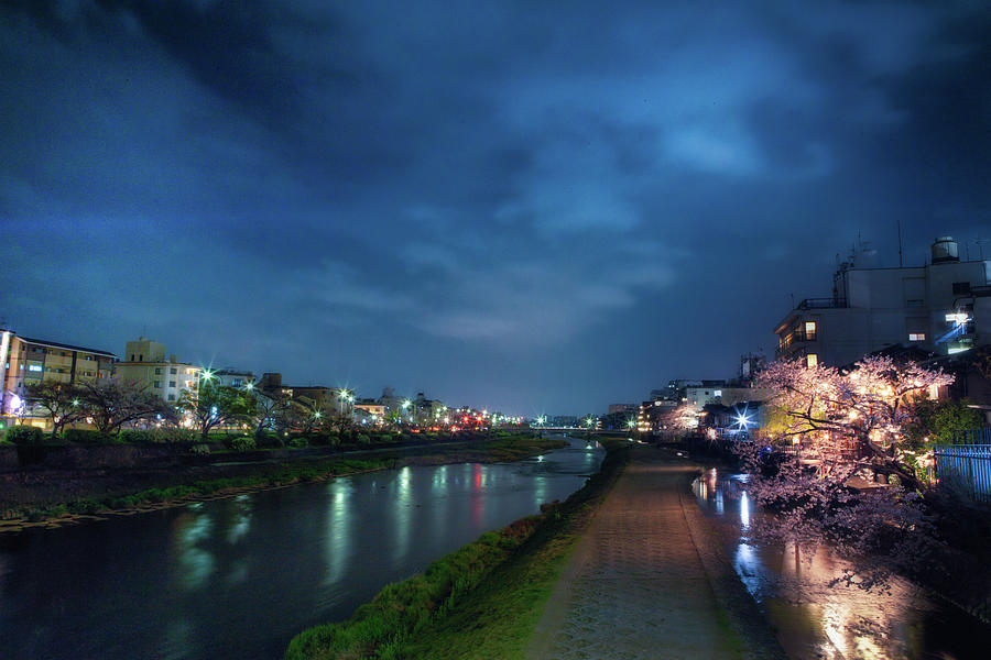 Cherry Blossom Over The Kamogawa River Photograph by Image © Andy Heather