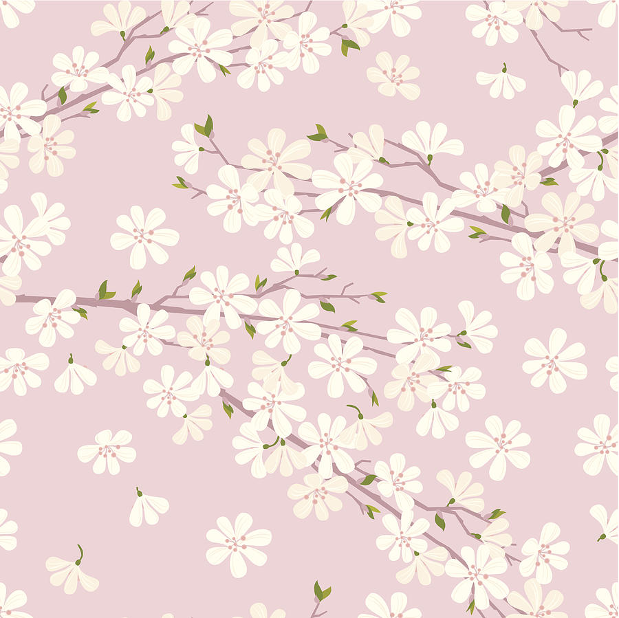 Cherry Blossom Pattern Drawing by Rusanovska