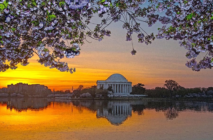 Cherry Blossom Sunrise Washington D.C. Digital Art by Steven Barrows