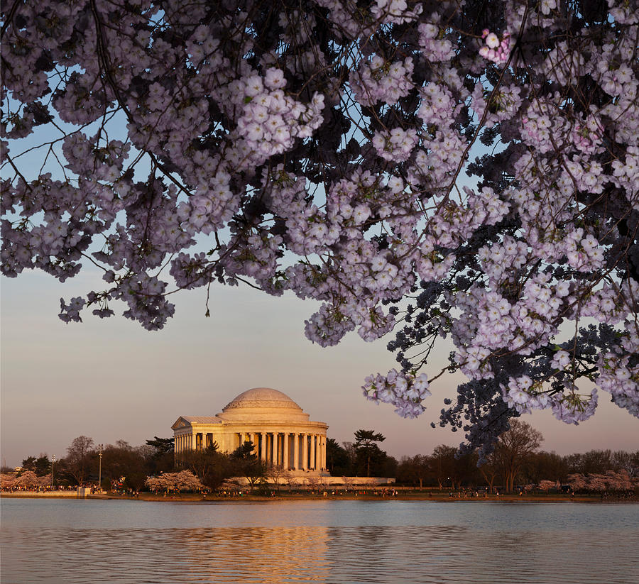 Architecture Photograph - Cherry Blossom Tree With A Memorial by Panoramic Images