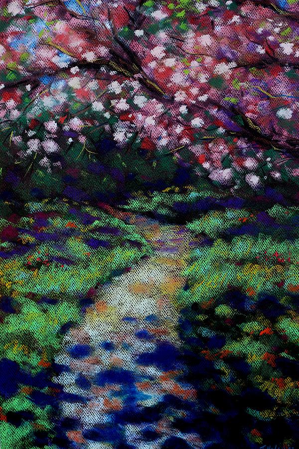 Tree Pastel - Cherry Blossom Walk  by John  Nolan