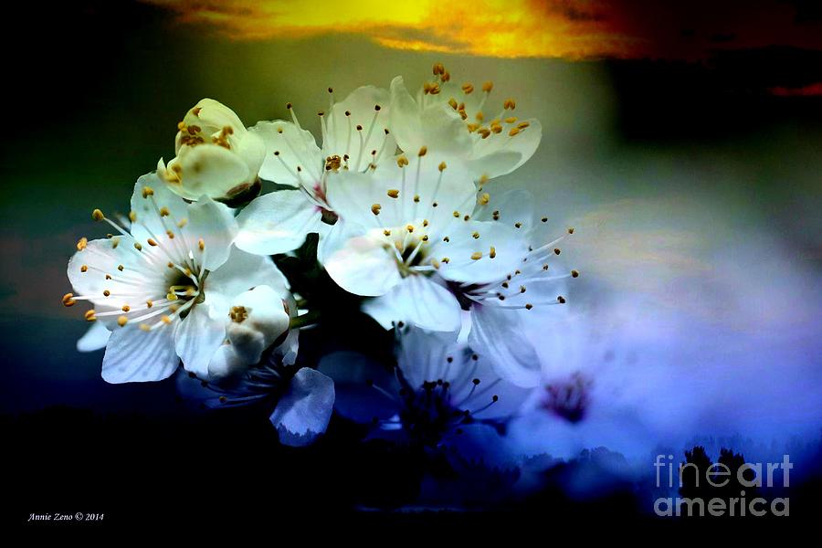 Flower Photograph - Cherry Blossoms by AZ Creative Visions