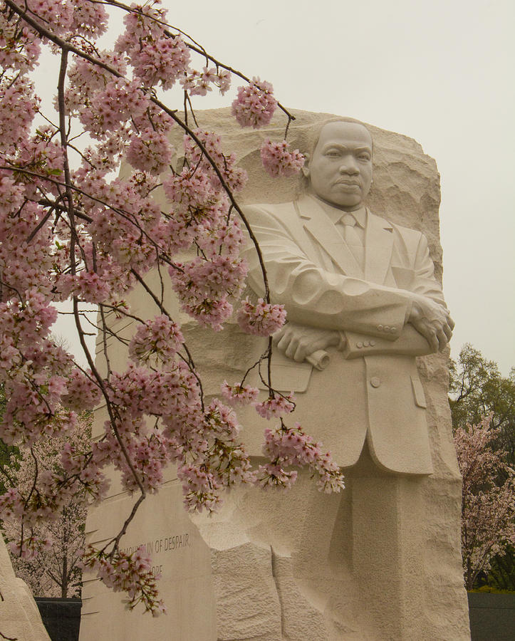 Cherry Blossoms at the Martin Luther King Jr Memorial Photograph by Leah Palmer