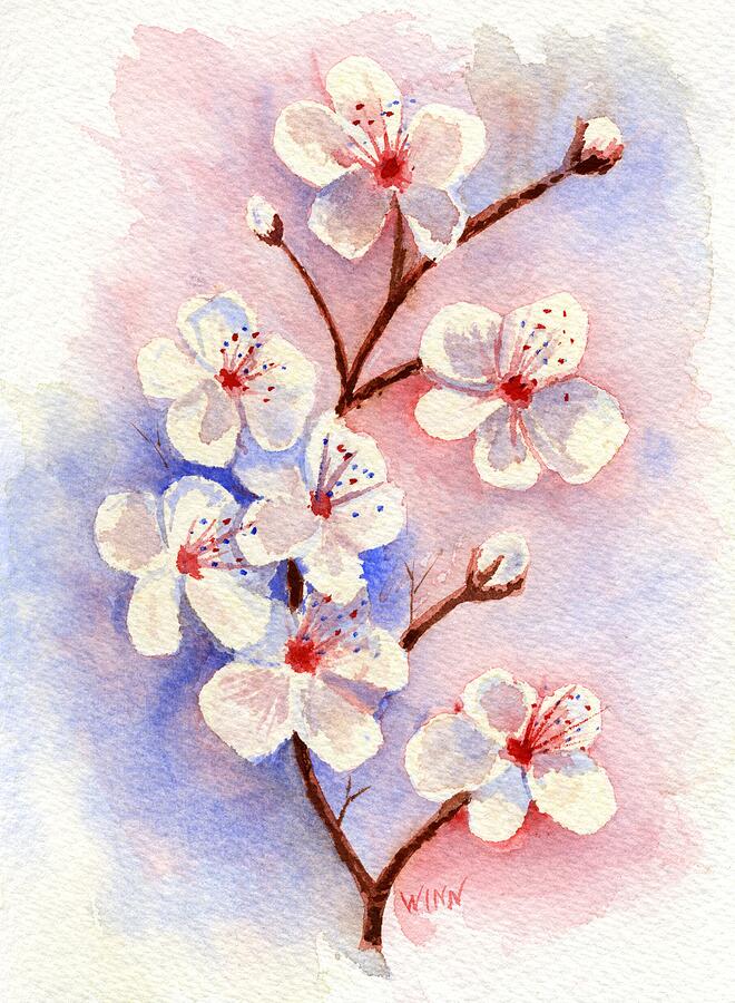 Cherry Blossoms Painting by Brett Winn