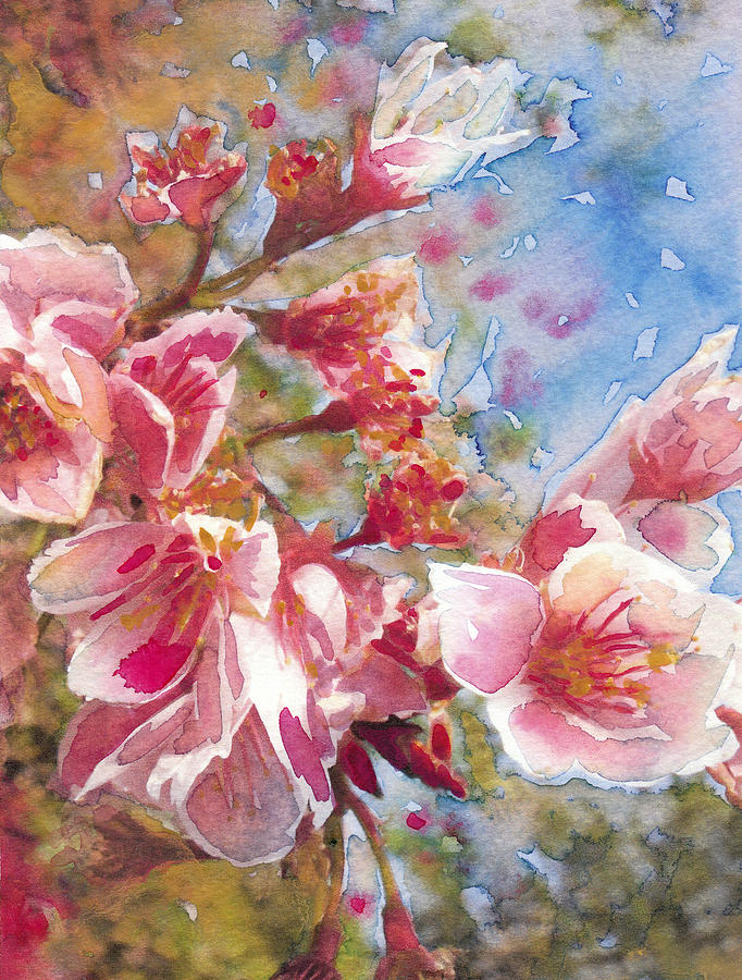 Cherry Blossoms Painting by Susan Powell - Fine Art America