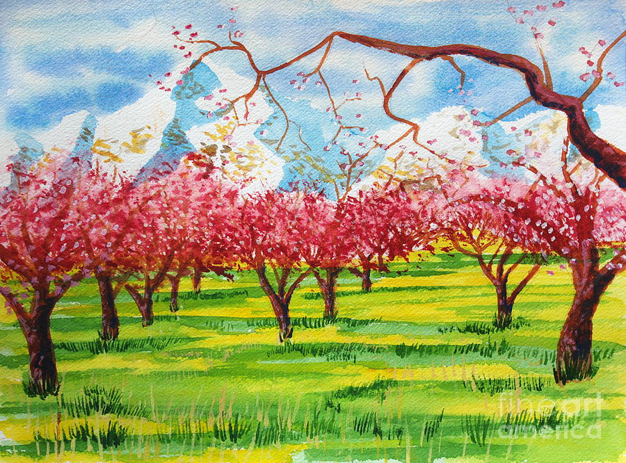 Cherry Blossoms under Ben Lomond Painting by Walt Brodis