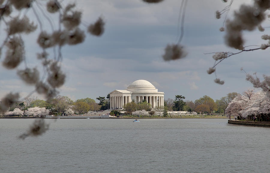 Flower Photograph - Cherry Blossoms with Jefferson Memorial - Washington DC - 011318 by DC Photographer