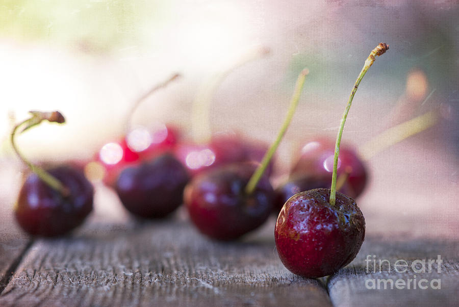 Still Life Photograph - Cherry Delites by Juli Scalzi