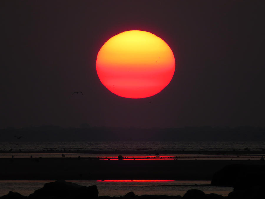 Cherry Drop Sunrise - Cape Cod Bay Photograph by Dianne Cowen Cape Cod Photography