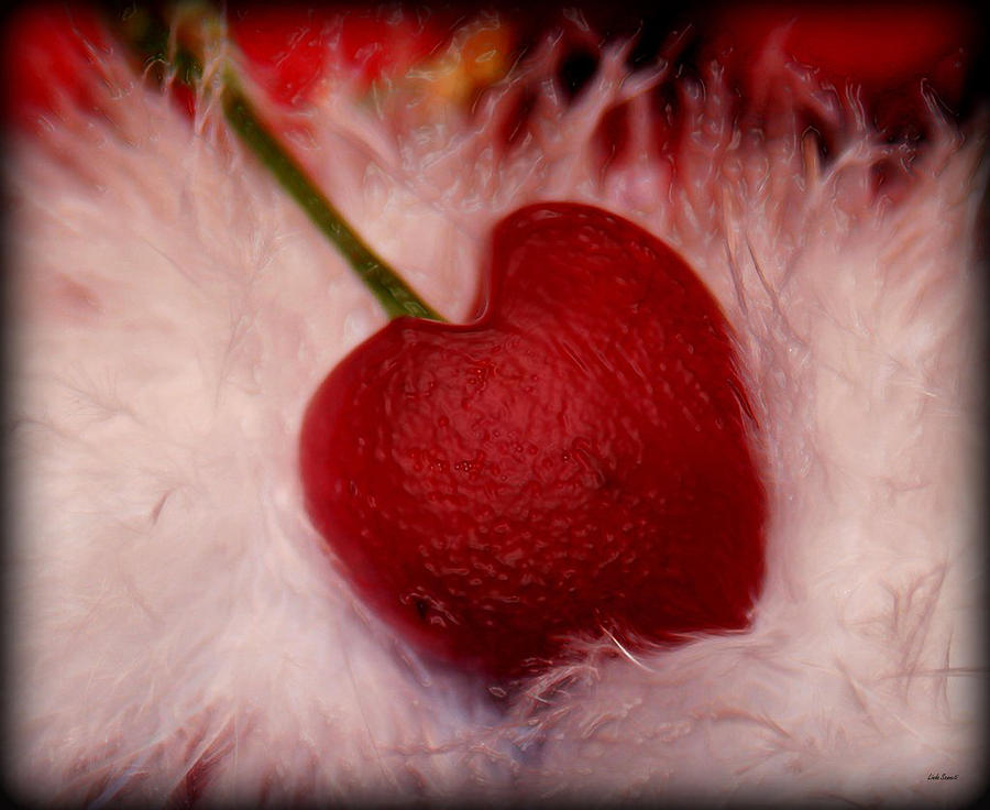 Still Life Photograph - Cherry Heart by Linda Sannuti