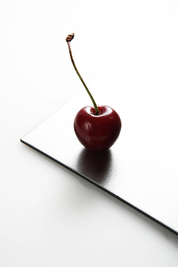 Cherry Photograph by Kate Jacobs/science Photo Library