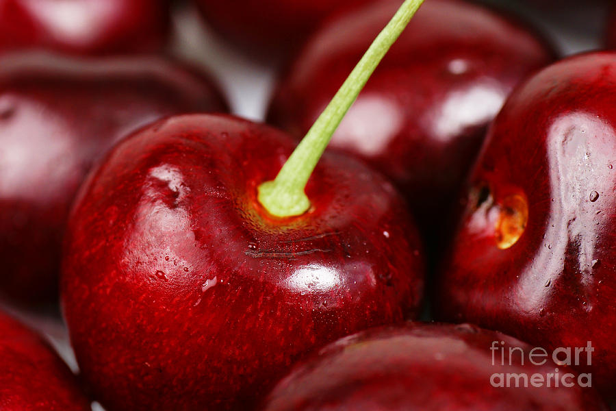 Cherry macro background Photograph by Sylvie Bouchard Fine Art America