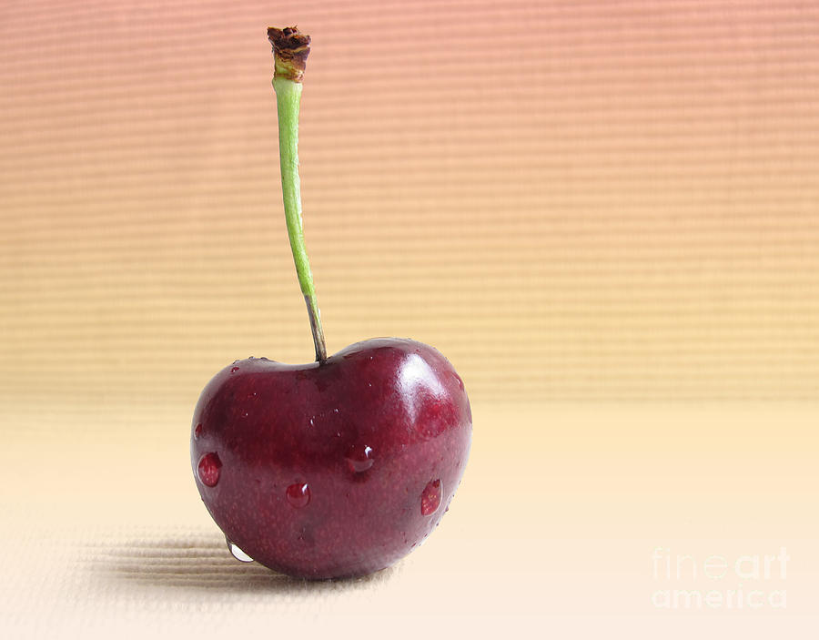 Cherry Portrait Two Photograph By Arlene Carmel - Fine Art America