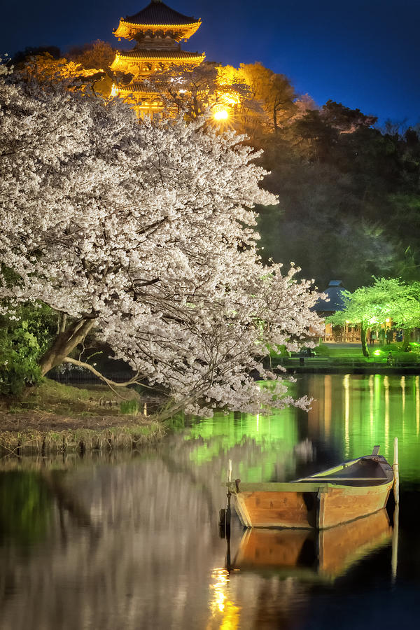 Cherry Blossom Temple boat Photograph by John Swartz