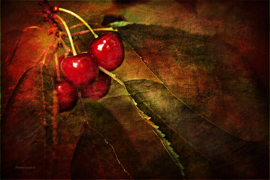 Cherry Time Photograph by Theresa Tahara