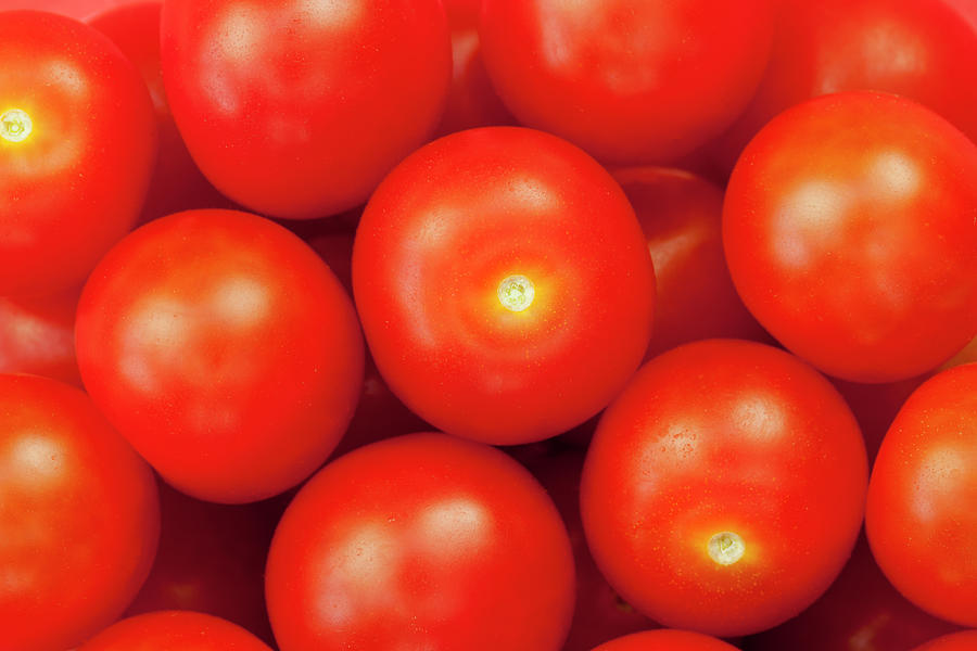 Cherry Tomatoes Photograph by Andrew Dernie