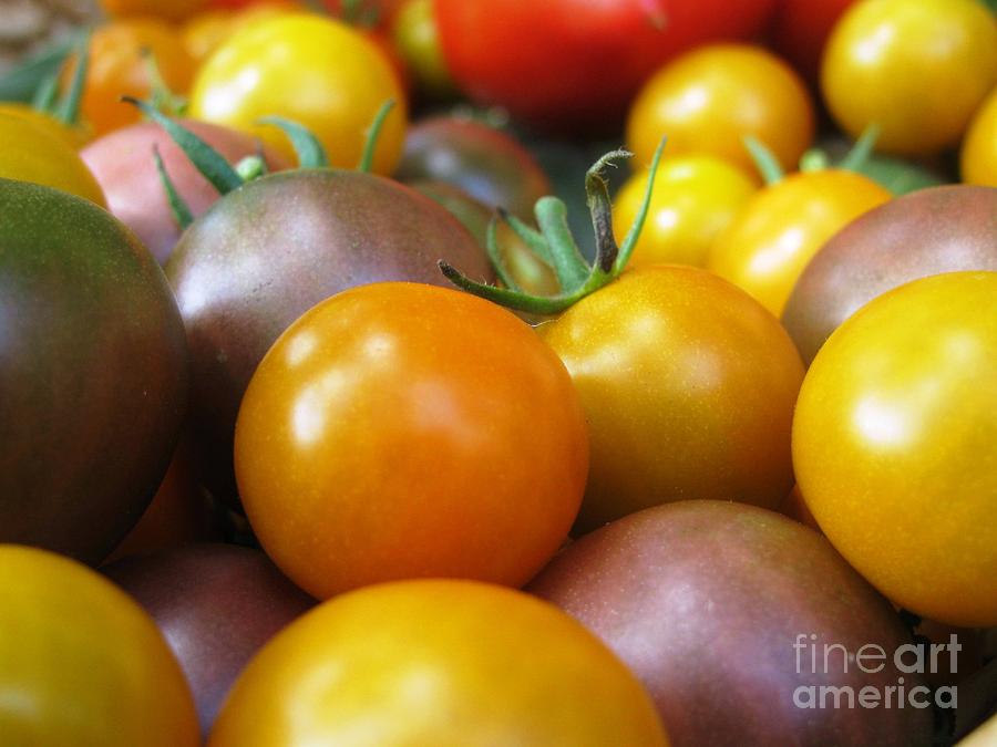 Cherry Tomatoes II Photograph by Lili Feinstein