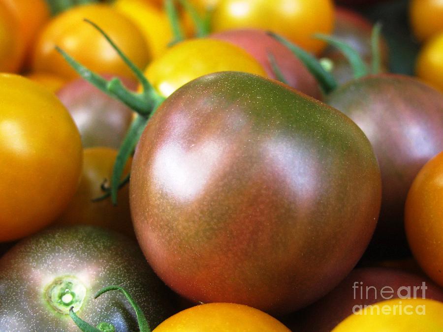 Cherry Tomatoes III Photograph by Lili Feinstein