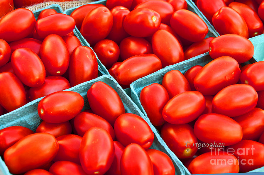 Tomato Photograph - Cherry Tomatoes by Regina Geoghan