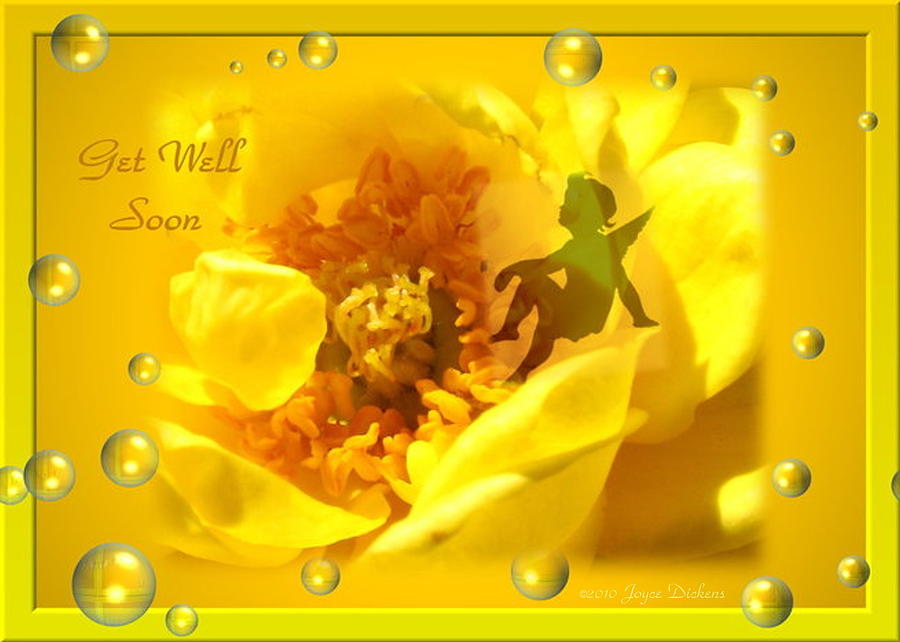 Cherub on Yellow Rose Get Well Soon Photograph by Joyce Dickens
