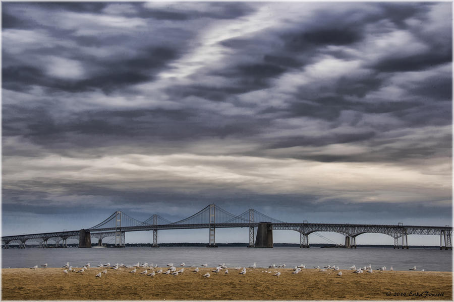 Chesapeake Bay Bridge Photograph by Erika Fawcett