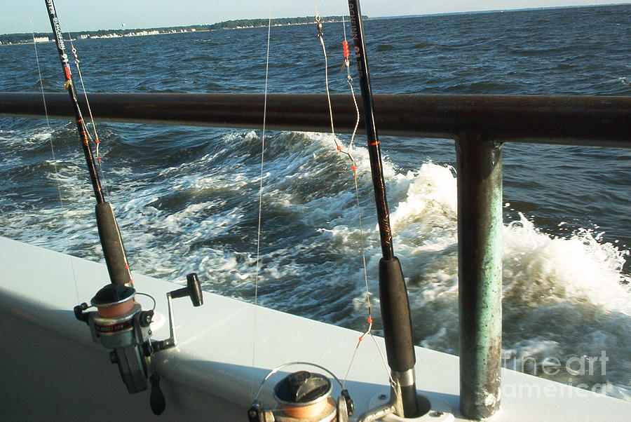 Chesapeake Bay Fishing Photograph by Emmy Vickers