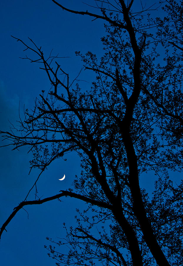 Cheshire Moon Photograph by Claus Siebenhaar - Fine Art America