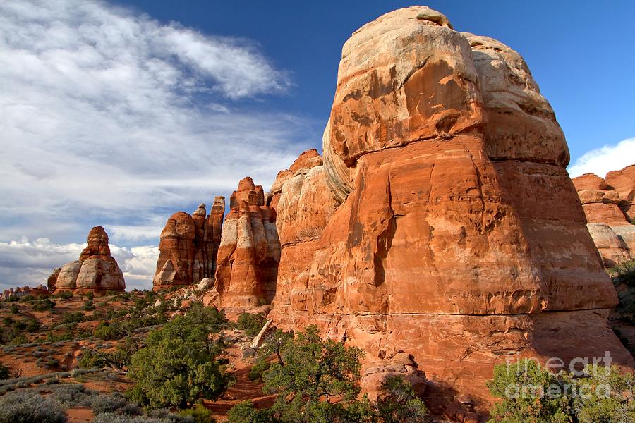 Canyonlands National Park Photograph - Chesler Park Needles by Adam Jewell