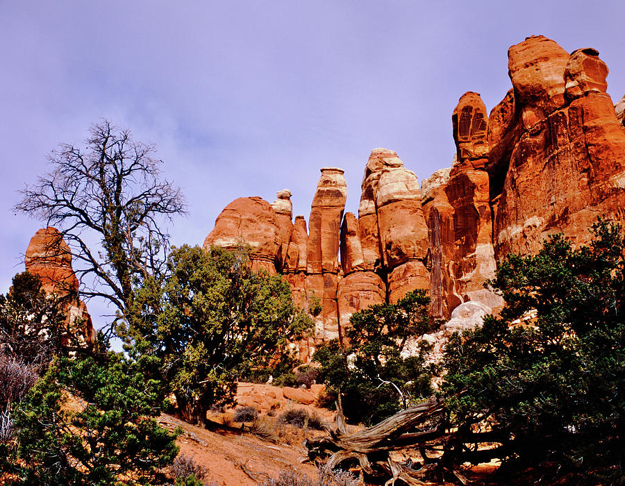 Chesler Park Pinnacles Photograph by Ed Riche