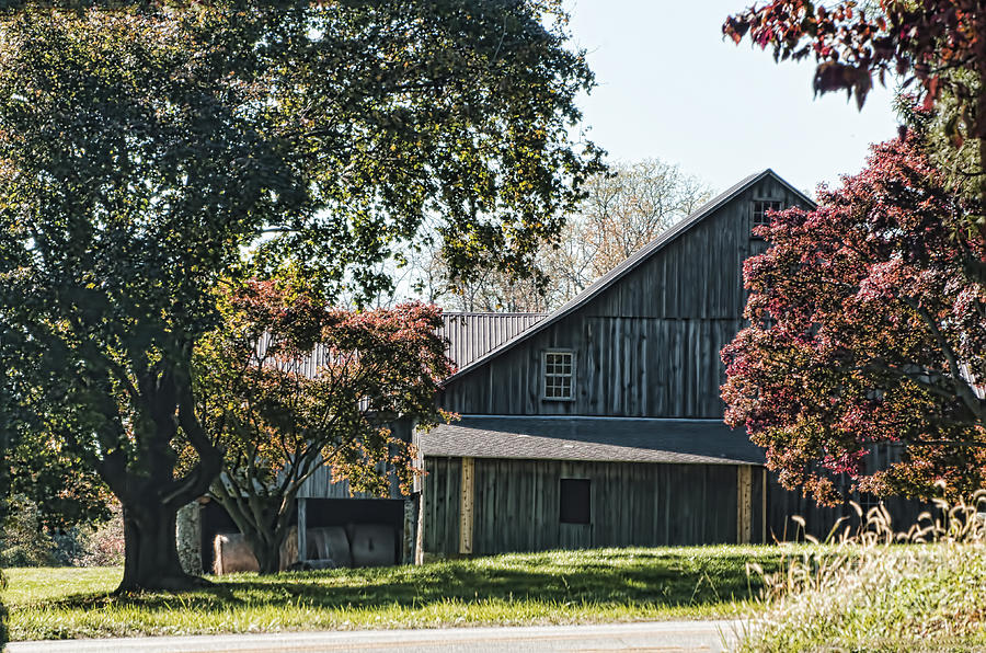 Chester County Barn Photograph by Judy Wolinsky
