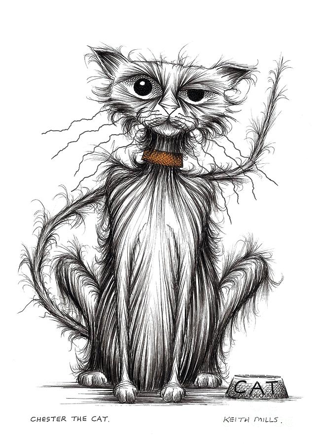 Chester the cat Drawing by Keith Mills